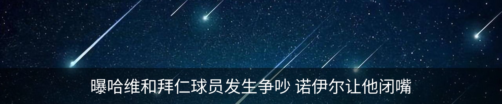 新闻动态