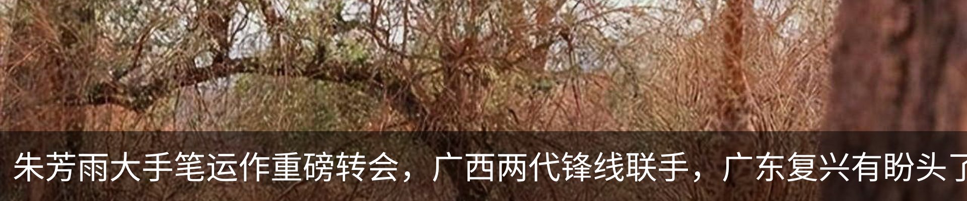 新闻动态