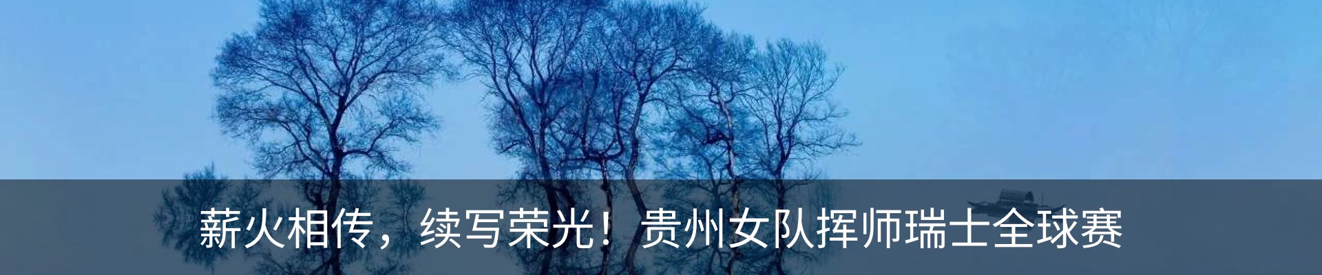 新闻动态