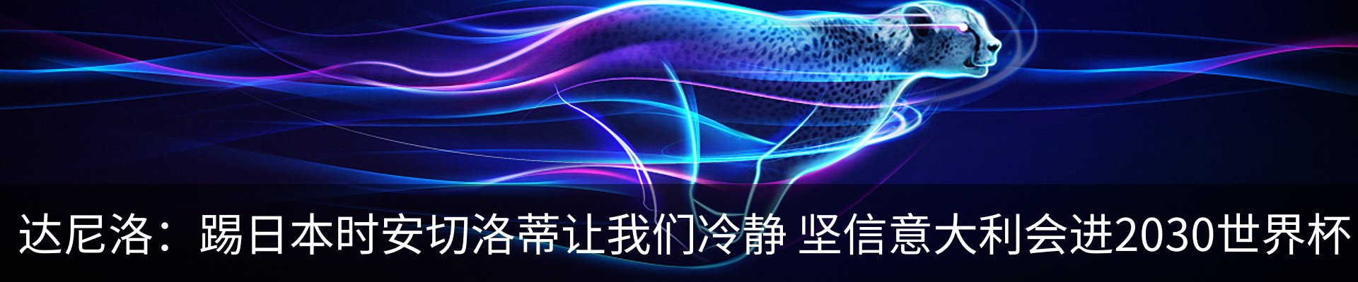 新闻动态